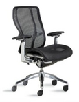 Ergonomic Black Mesh Chair w/ Chrome Frame