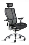 Ergonomic Black Mesh Chair